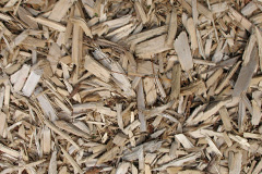 biomass boilers Cadle